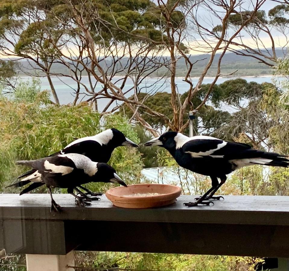 The River Suites, Kangaroo Island American River Dış mekan fotoğraf