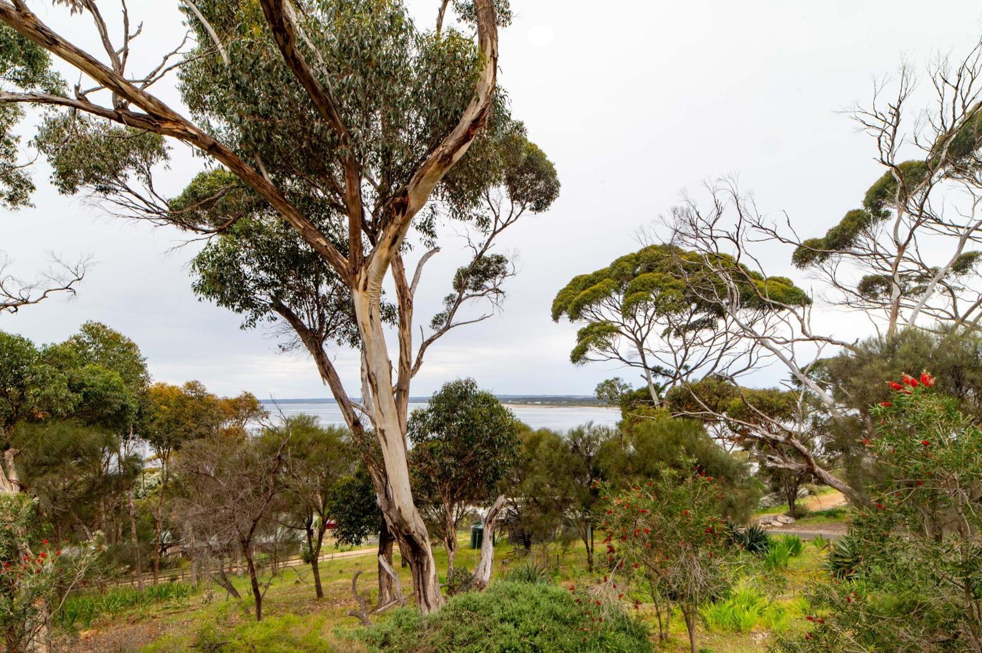 The River Suites, Kangaroo Island American River Dış mekan fotoğraf